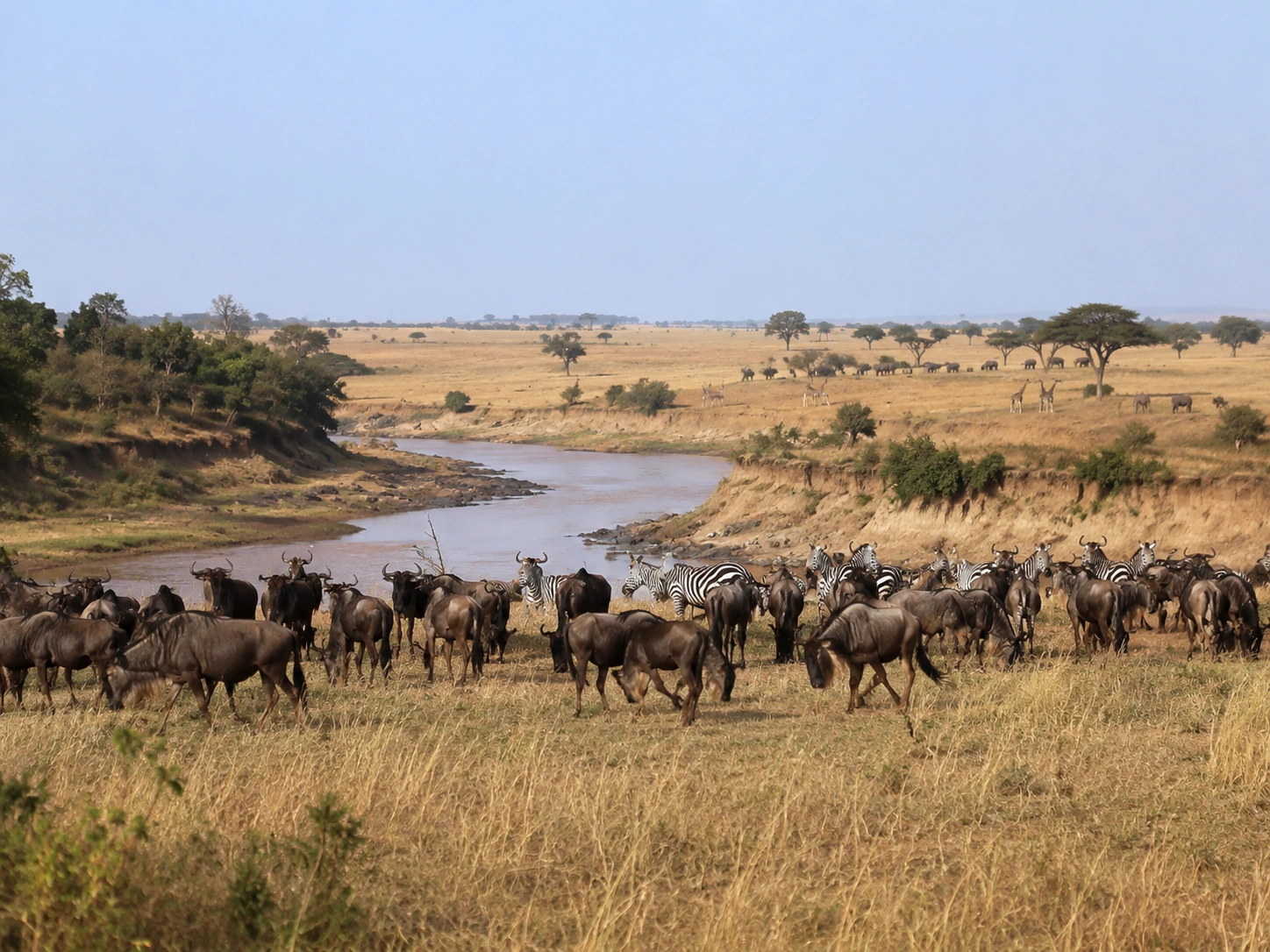 Masai Mara